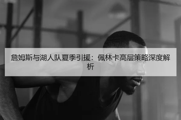 詹姆斯与湖人队夏季引援：佩林卡高层策略深度解析