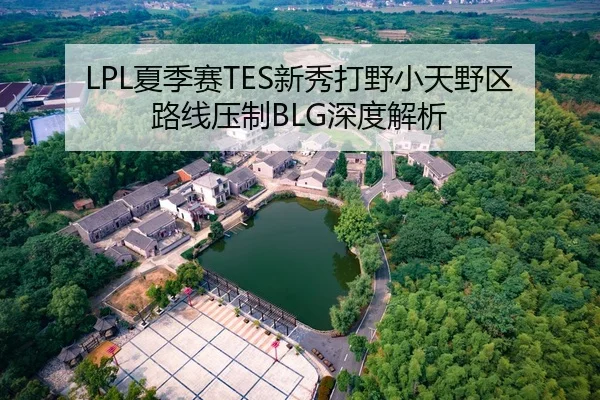LPL夏季赛TES新秀打野小天野区路线压制BLG深度解析